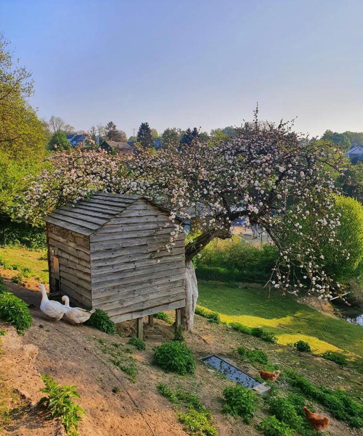 La Maison Du Sabotier Custinne Esterno foto