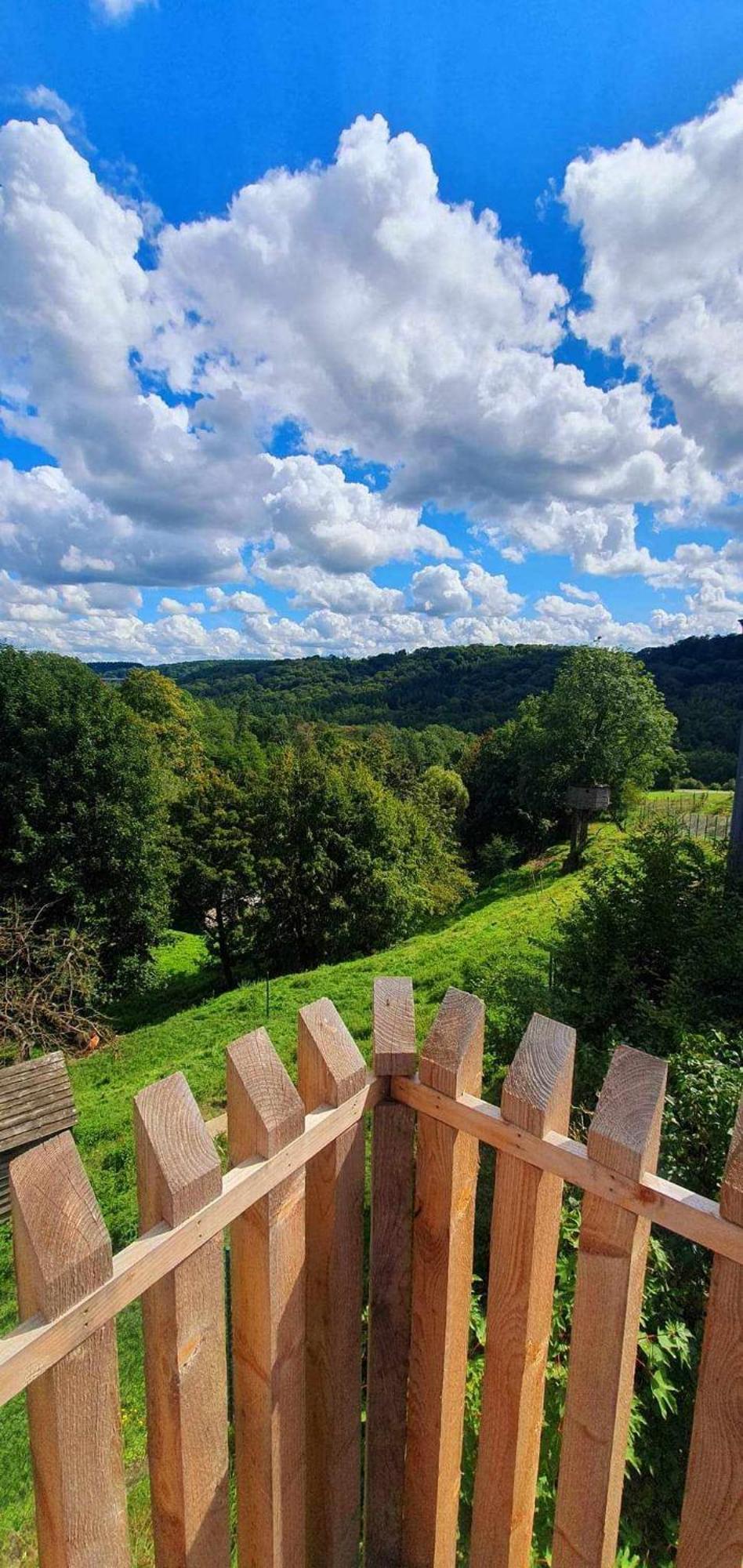 La Maison Du Sabotier Custinne Esterno foto