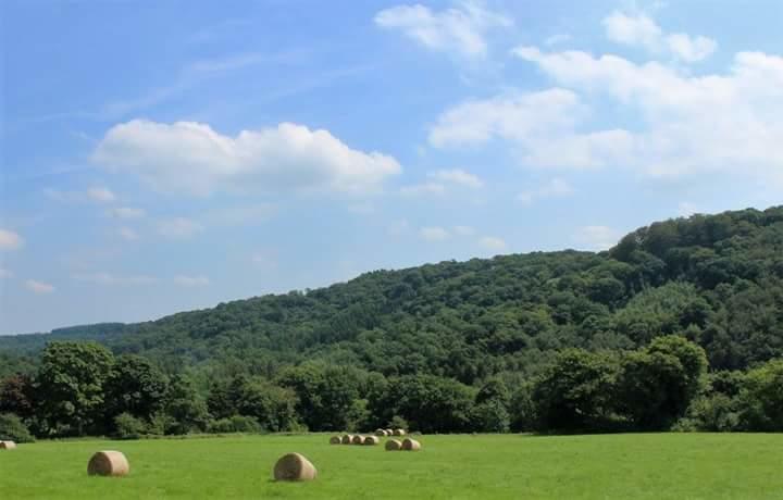 La Maison Du Sabotier Custinne Esterno foto