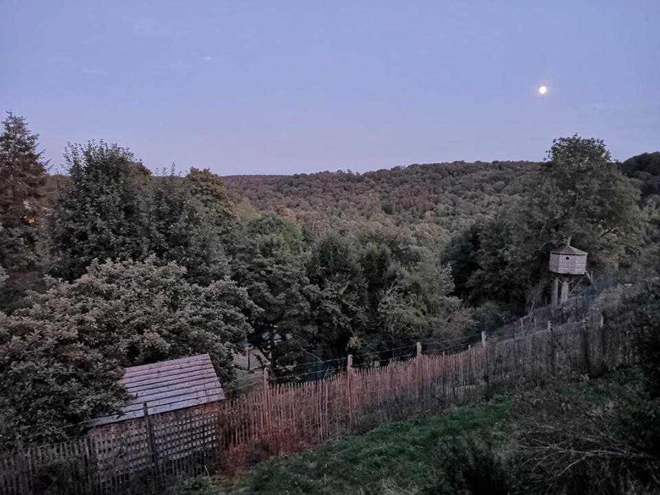 La Maison Du Sabotier Custinne Esterno foto